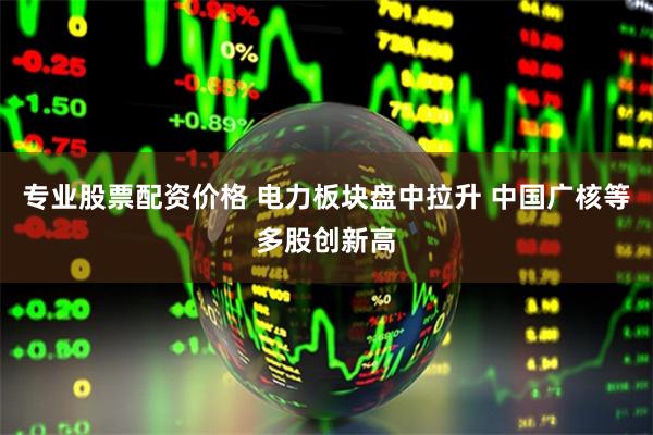 专业股票配资价格 电力板块盘中拉升 中国广核等多股创新高